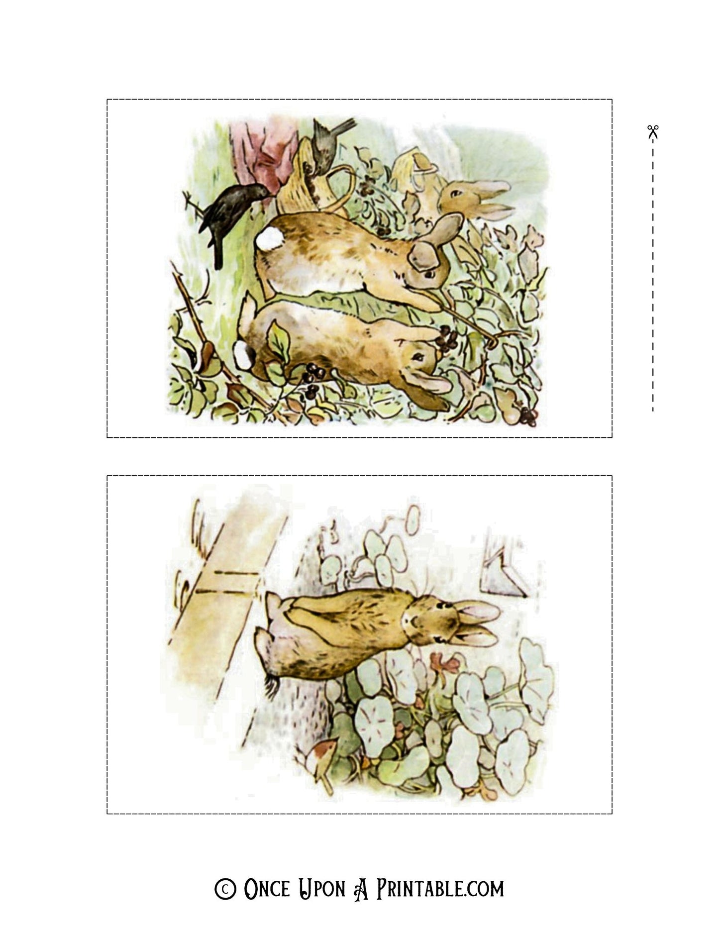 The Tale of Peter Rabbit Illustrations (4x6 Collection)