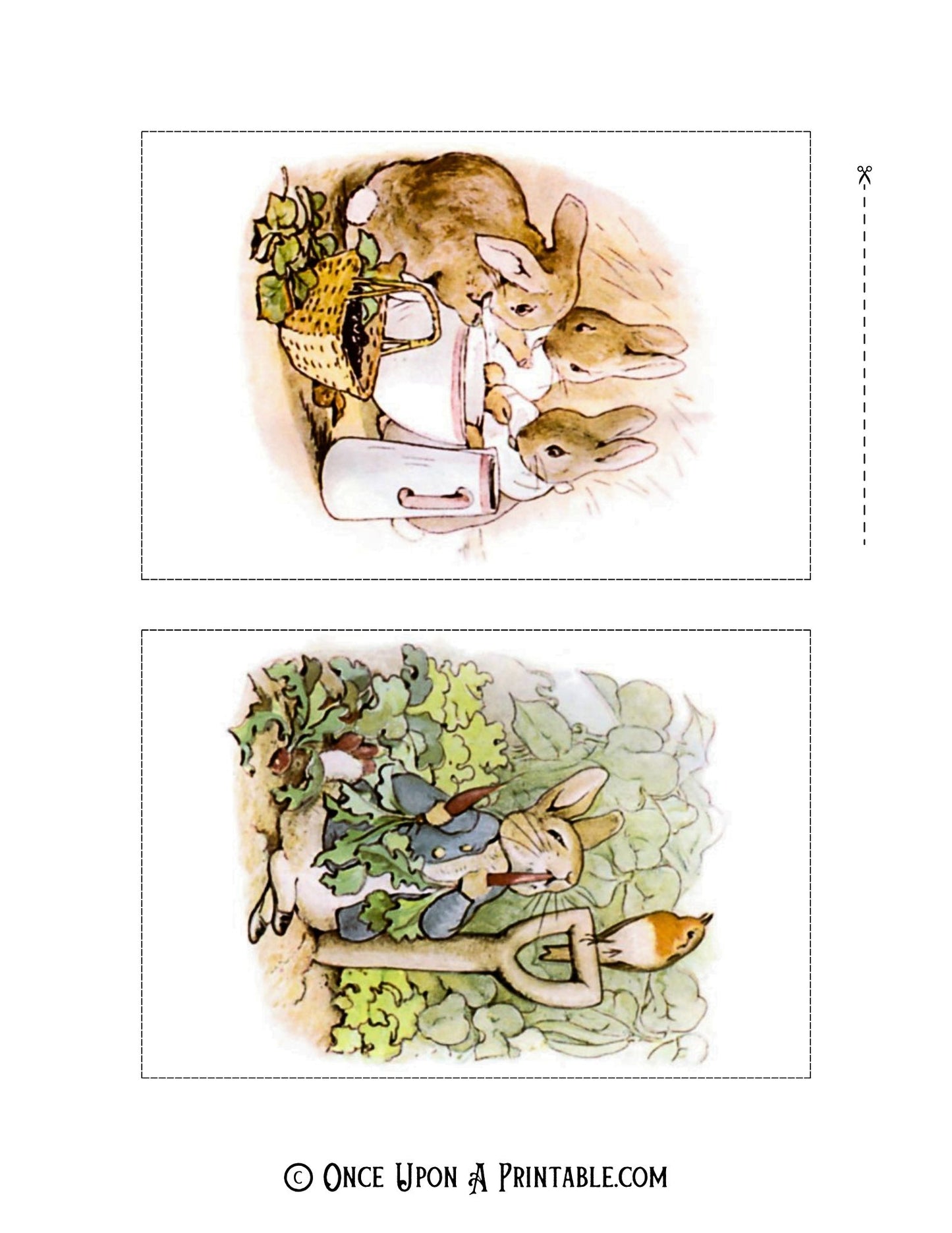 The Tale of Peter Rabbit Illustrations (4x6 Collection)