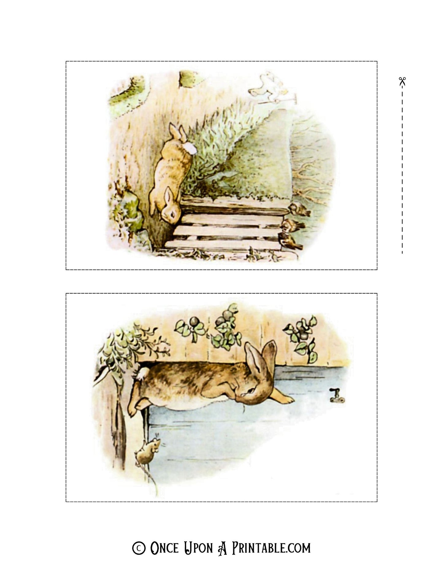 The Tale of Peter Rabbit Illustrations (4x6 Collection)