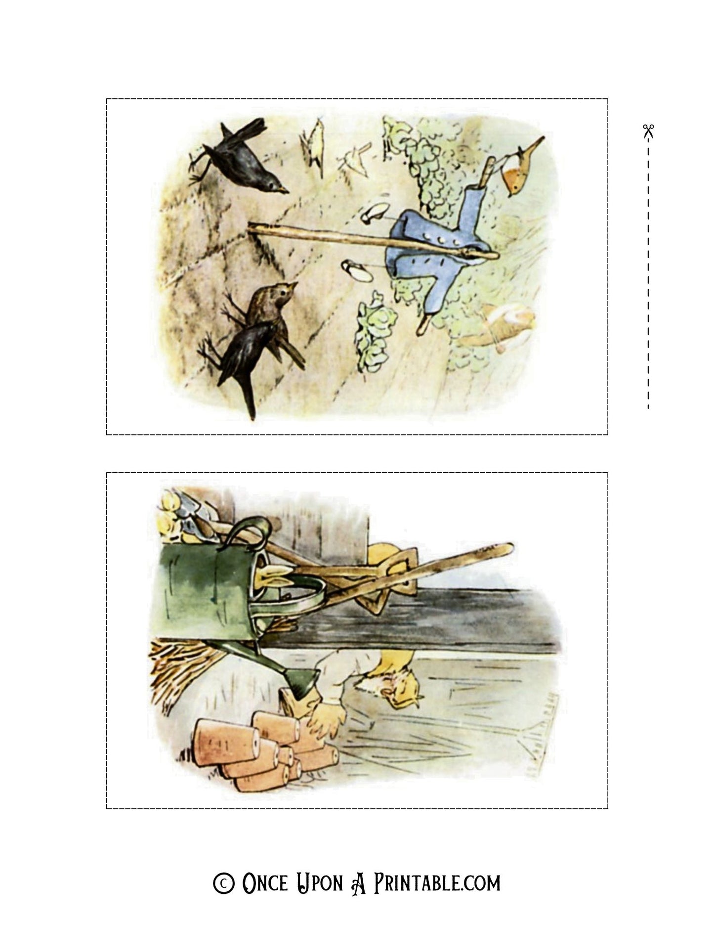 The Tale of Peter Rabbit Illustrations (4x6 Collection)