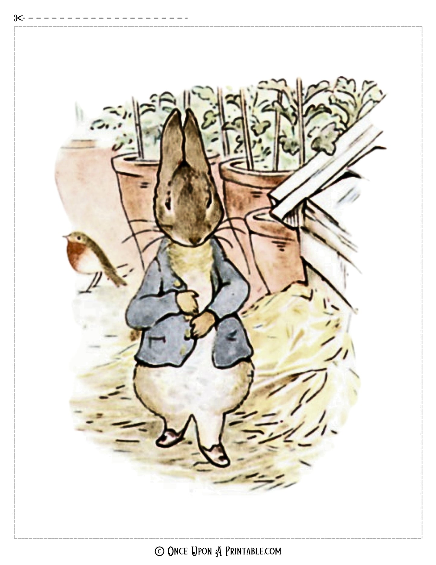 The Tale of Peter Rabbit Illustrations (8x10 Collection)