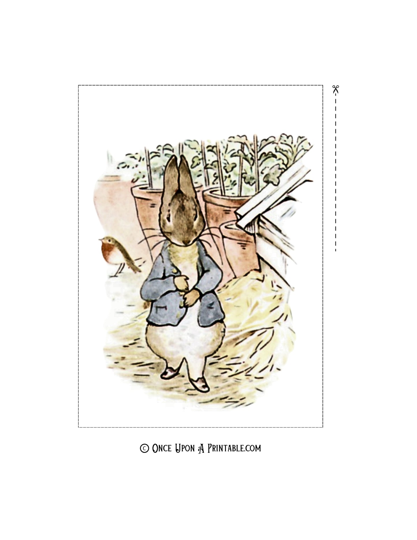 The Tale of Peter Rabbit Illustrations (5x7 Collection)
