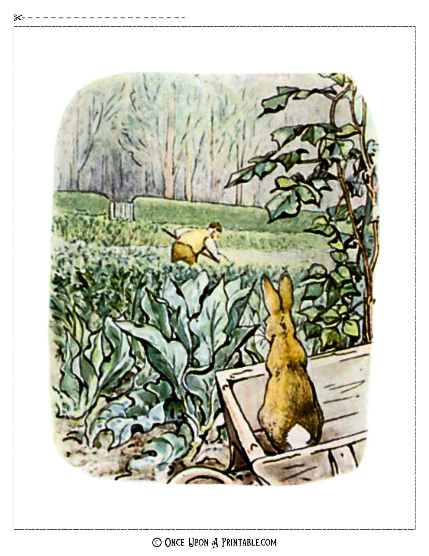 The Tale of Peter Rabbit Illustrations (8x10 Collection)