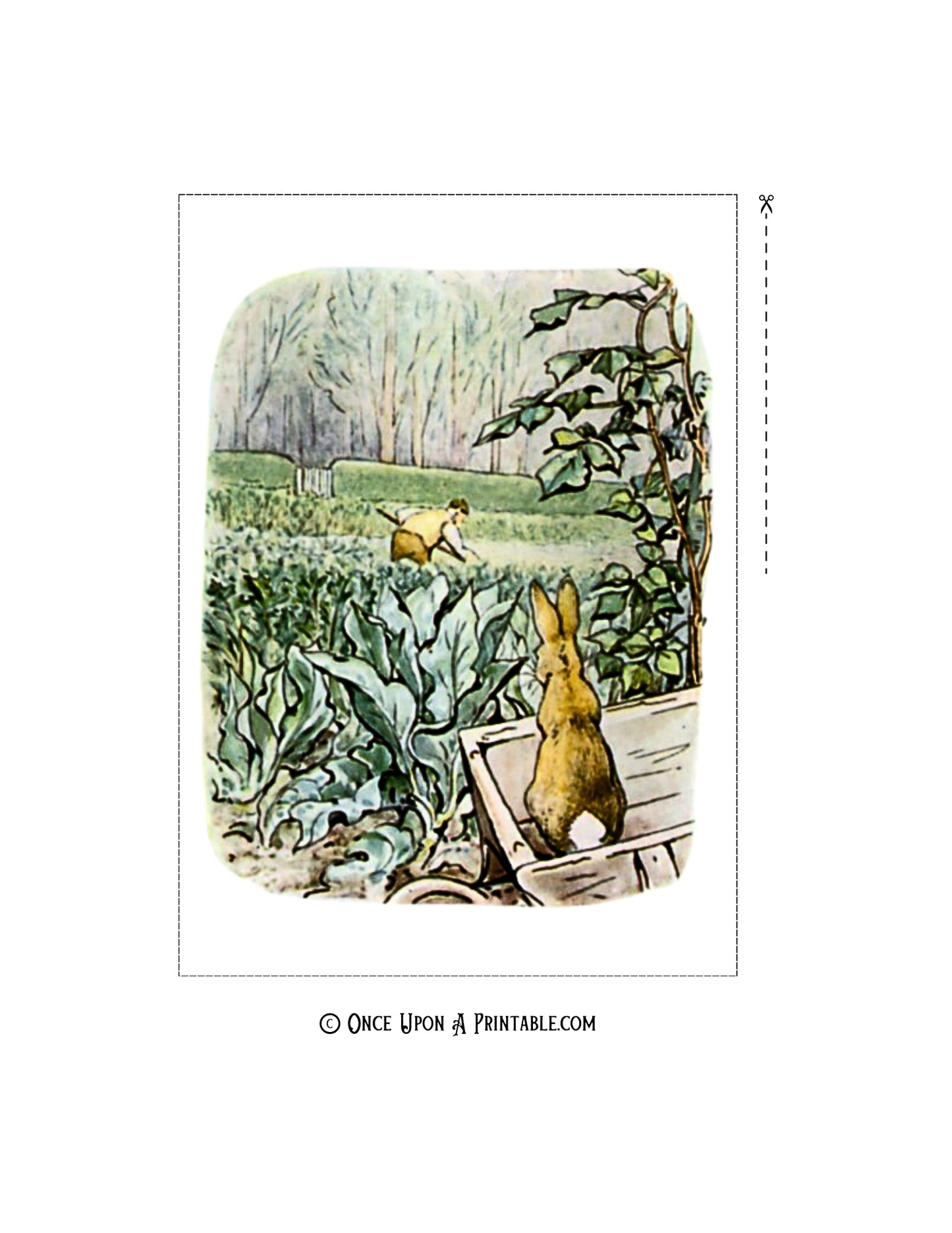 The Tale of Peter Rabbit Illustrations (5x7 Collection)