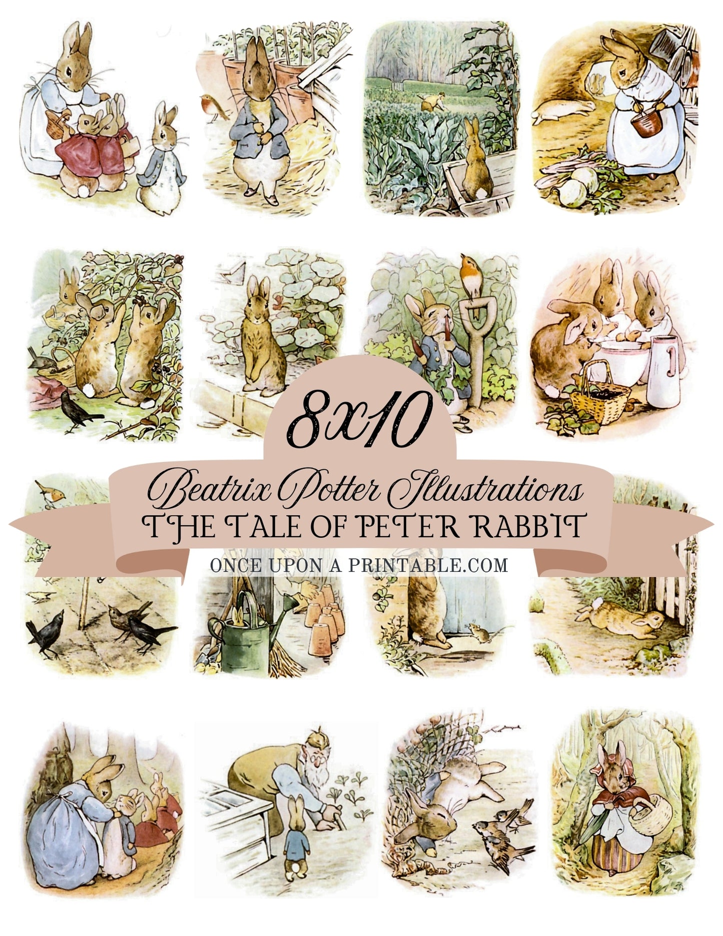 The Tale of Peter Rabbit Illustrations (8x10 Collection)