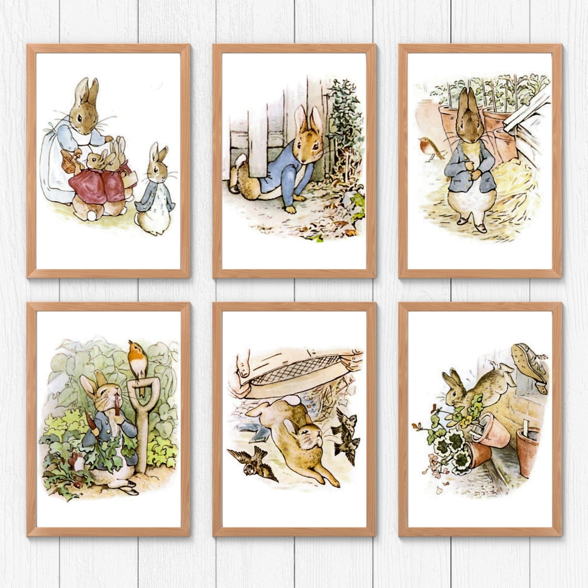 The Tale of Peter Rabbit Illustrations (4x6 Collection)