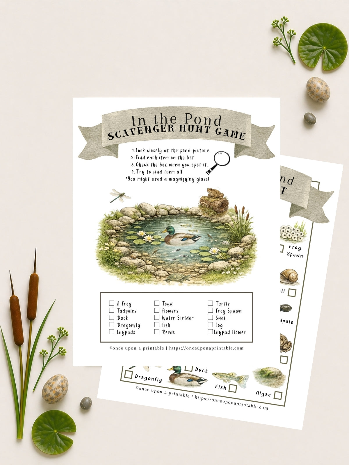 Pond Printables Unit Study