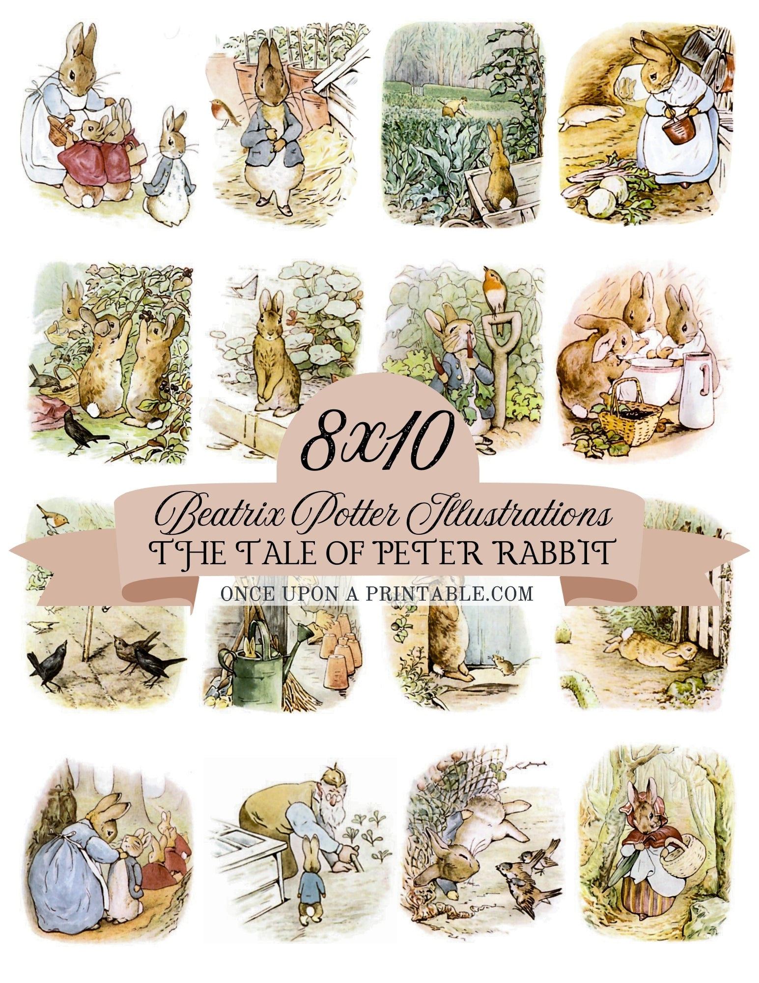 The Tale of Peter Rabbit Illustrations (8x10 Collection) – Once Upon a ...