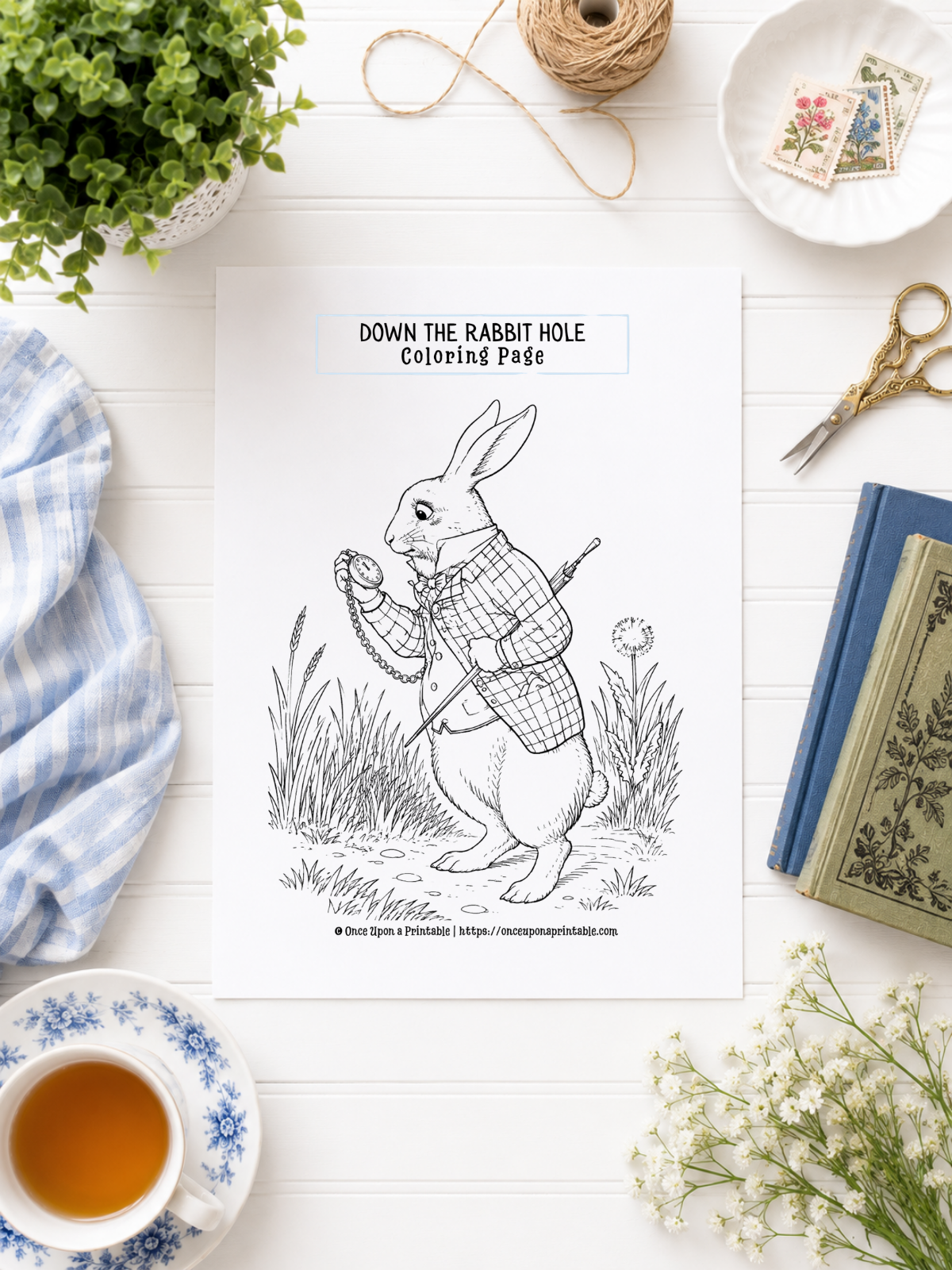 Alice’s Adventures in Wonderland Storybook Guide