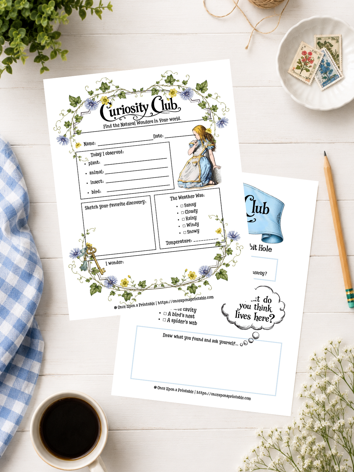 Alice’s Adventures in Wonderland Storybook Guide