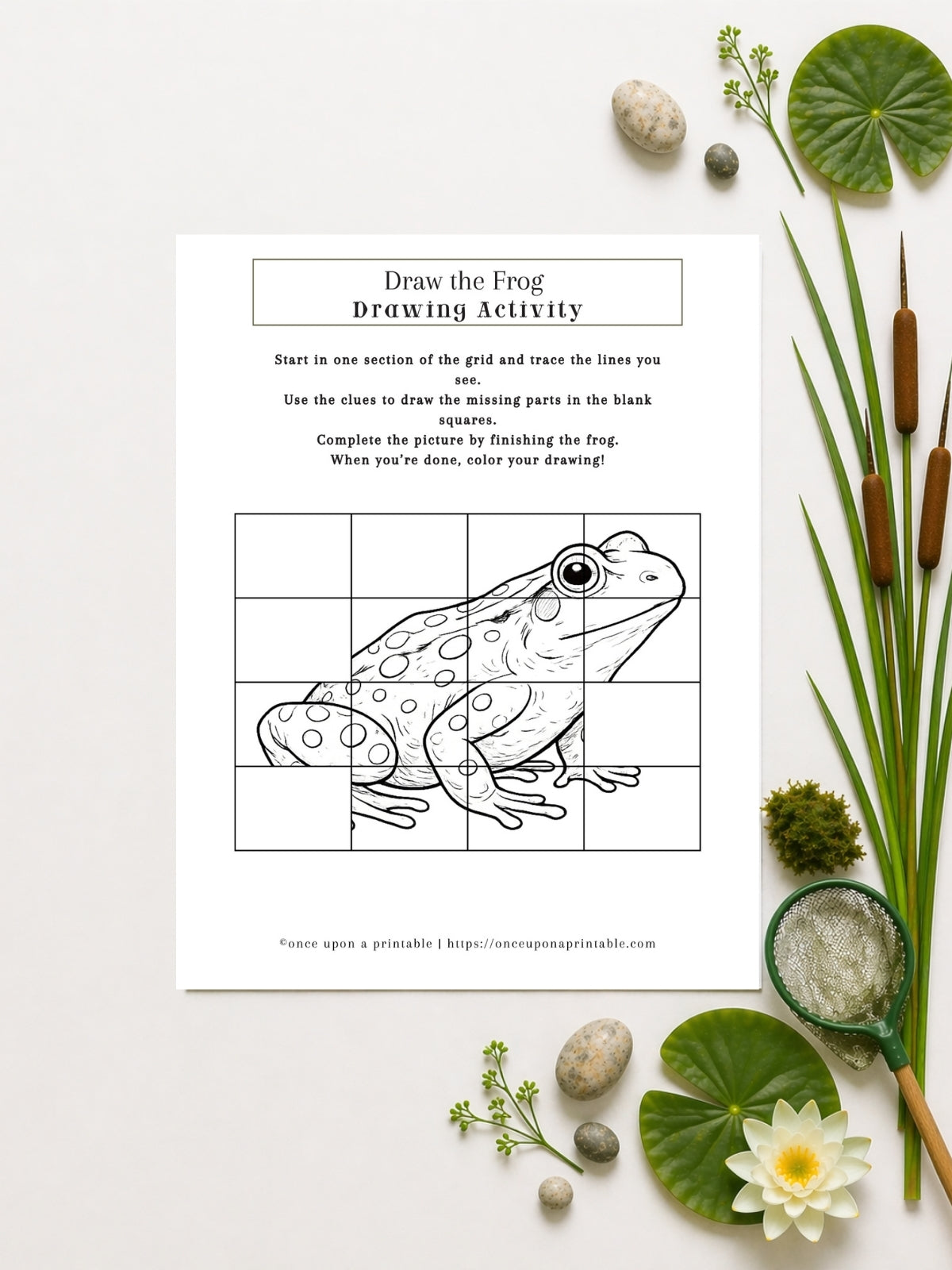Pond Printables Unit Study