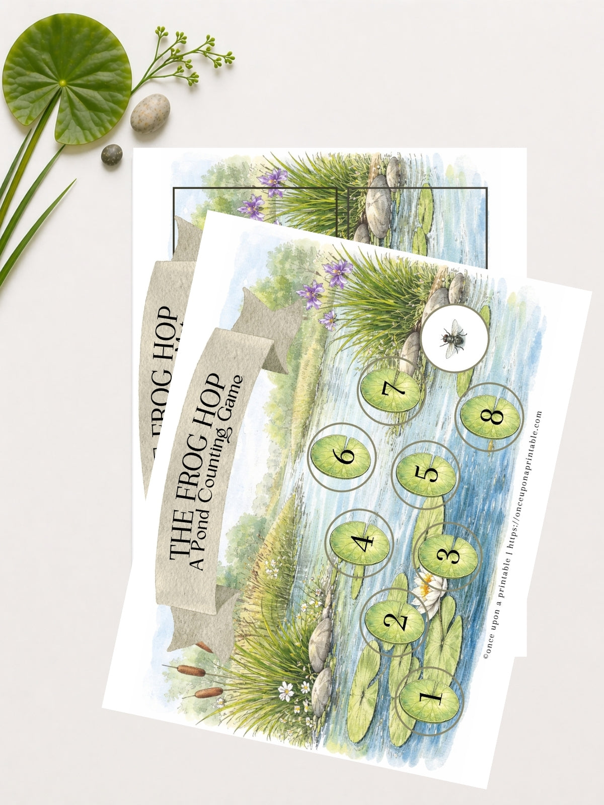 Pond Printables Unit Study