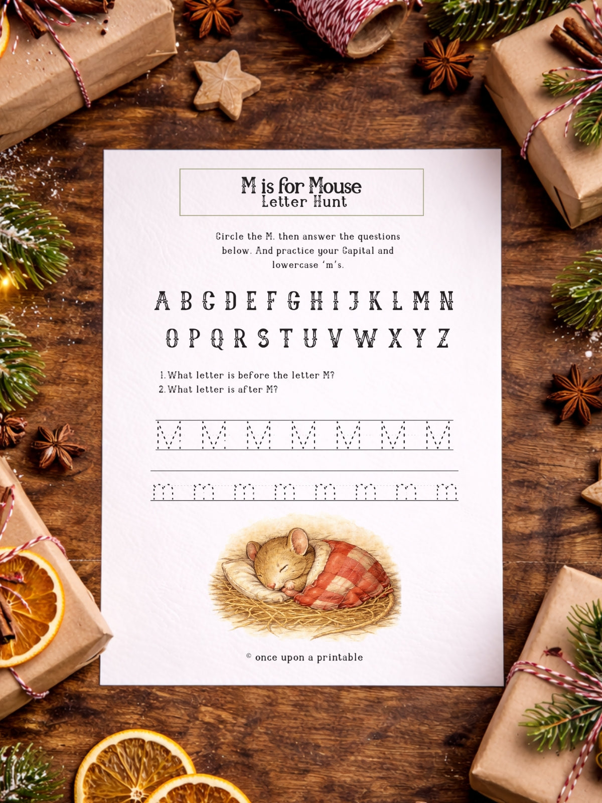 Twas the Night Before Christmas Activity Pack