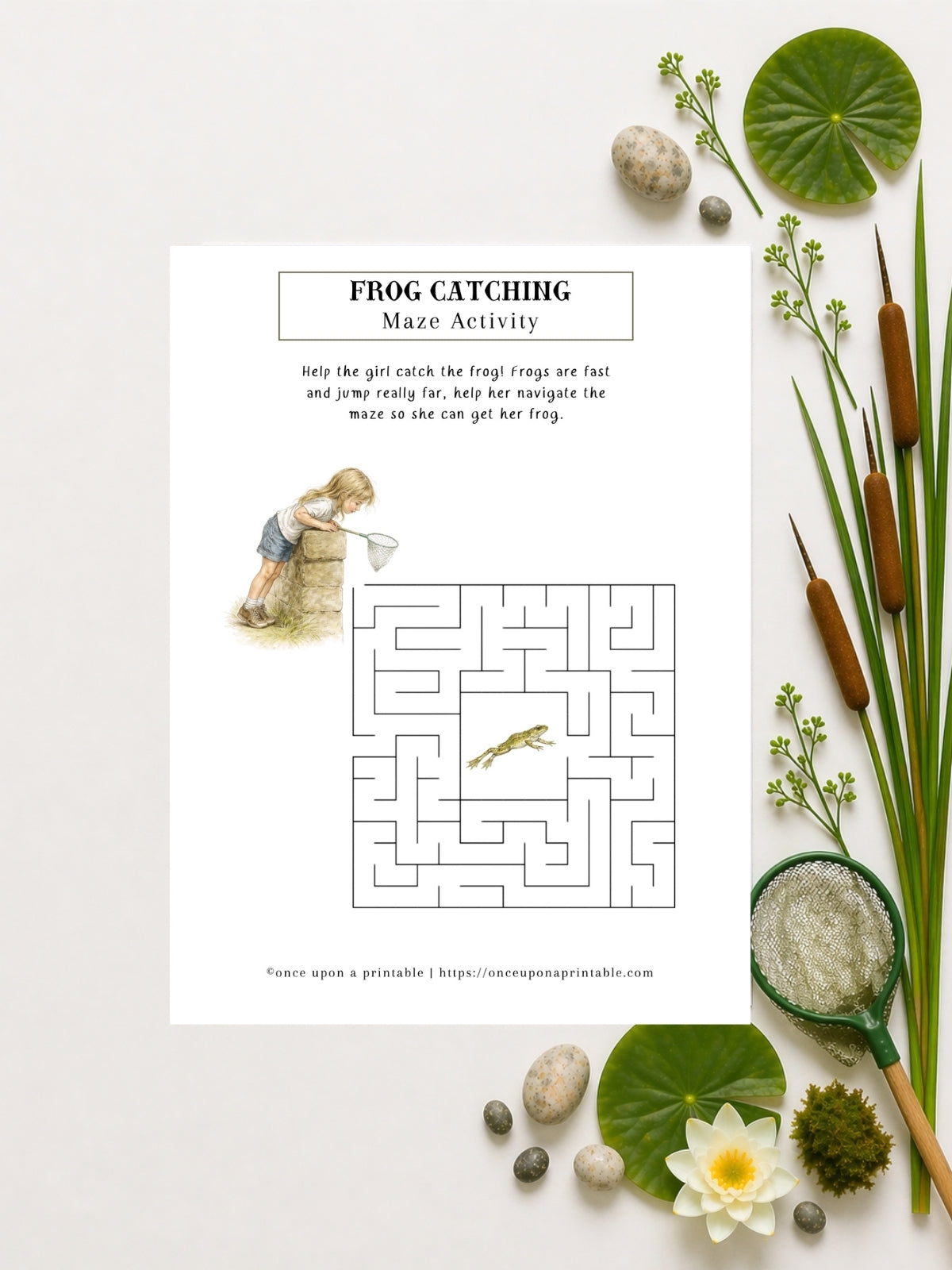 Pond Printables Unit Study