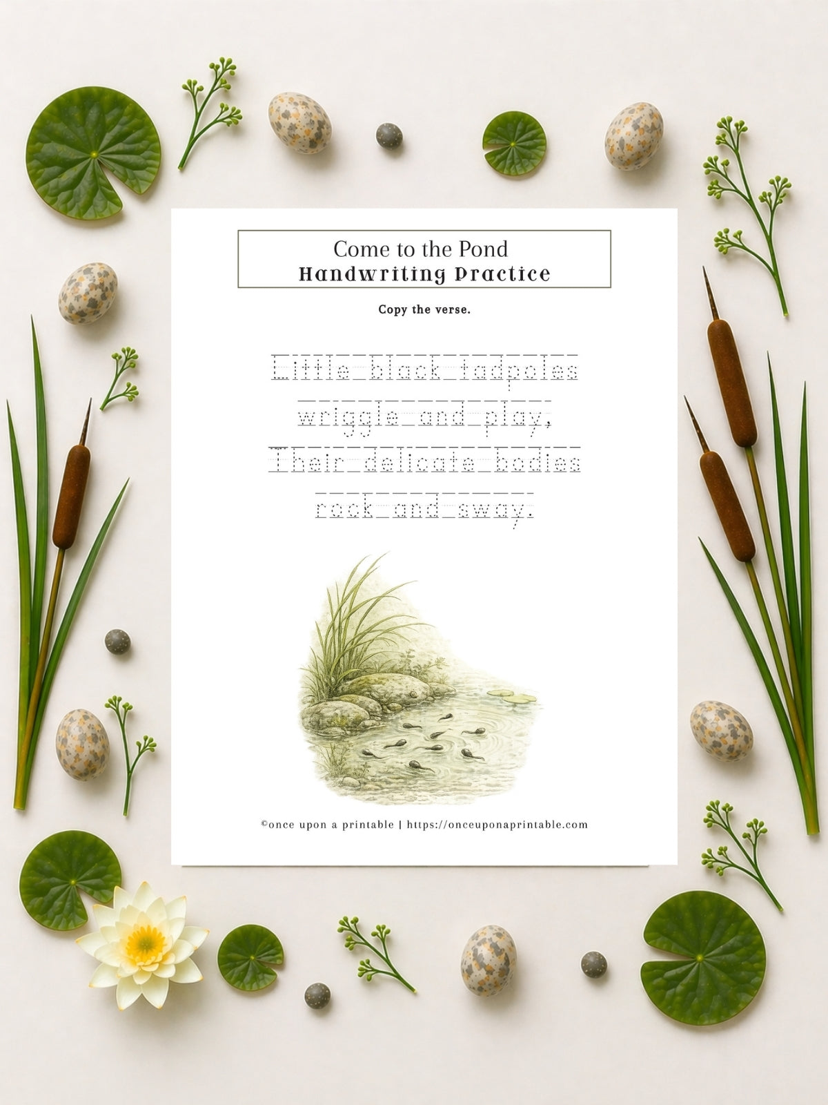 Pond Printables Unit Study