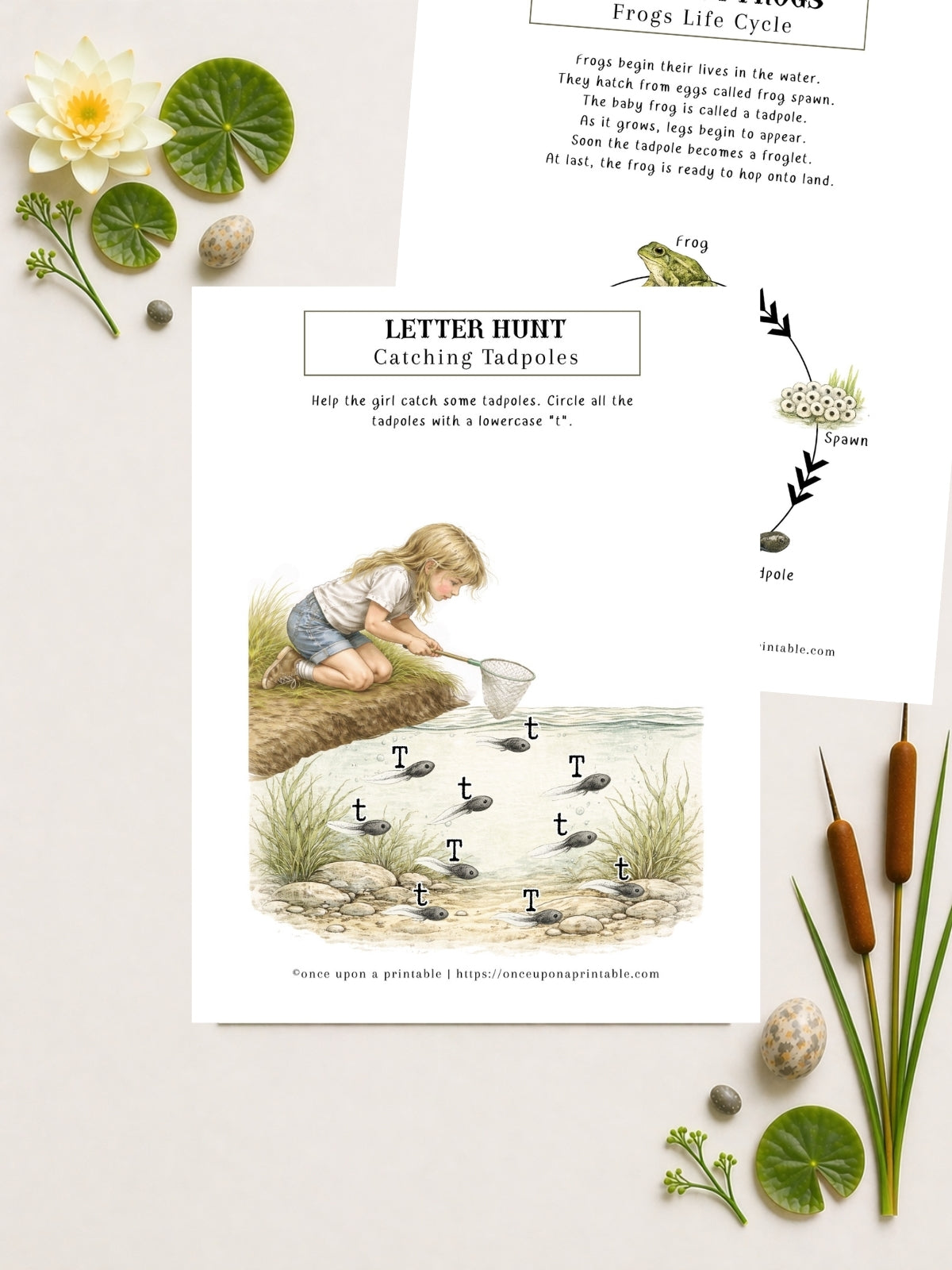 Pond Printables Unit Study