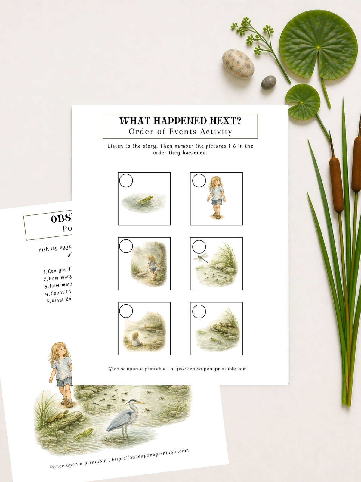 Pond Printables Unit Study